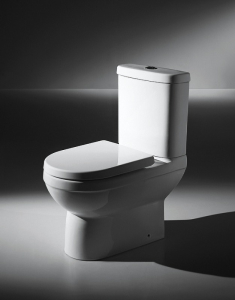 Чаша унитаза Bravat New Moon CX01019UW-PS-RUS