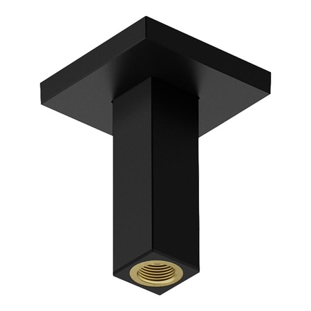 Кронштейн для верхнего душа 100 мм Hansgrohe Pulsify E 24338670 черный матовый