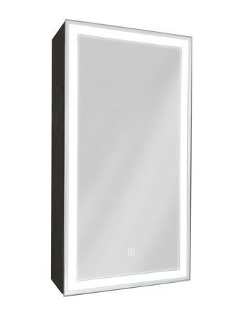 Зеркало-шкаф с подсветкой Art&Max TECHNO AM-Tec-350-650-1D-R-DS-F-Nero