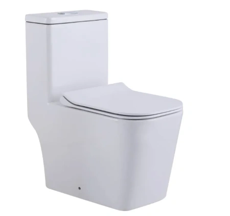 Унитаз напольный безободковый SantiLine SL-5024