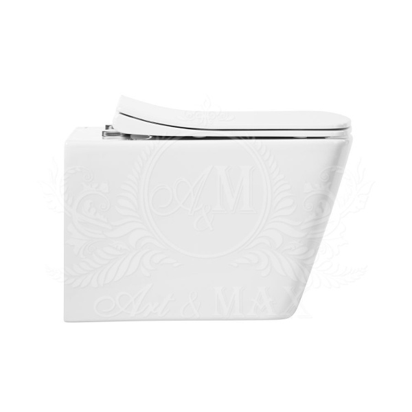 Сидение для унитаза с микролифтом Art&Max AM9310SC