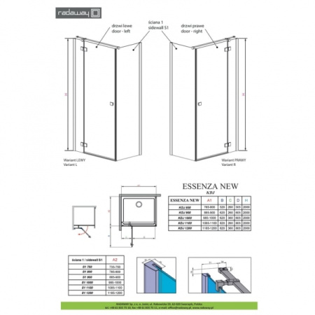 Душевая дверь Radaway Essenza 385040-01-01L