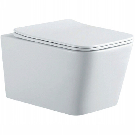 Унитаз подвесной безободоковый Aquatek Либра AQ0530N-00 микролифт