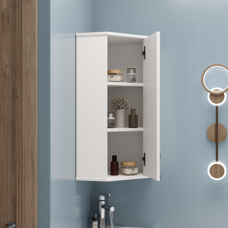 Зеркало-шкаф Onika Модерн 34 (48x73) 303402