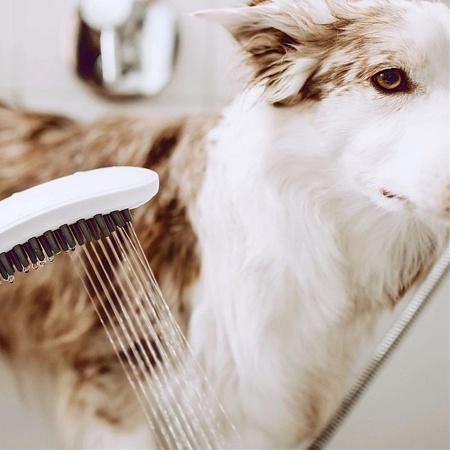 Ручной душ для мытья собак Hansgrohe DogShower 26640700 белый матовый