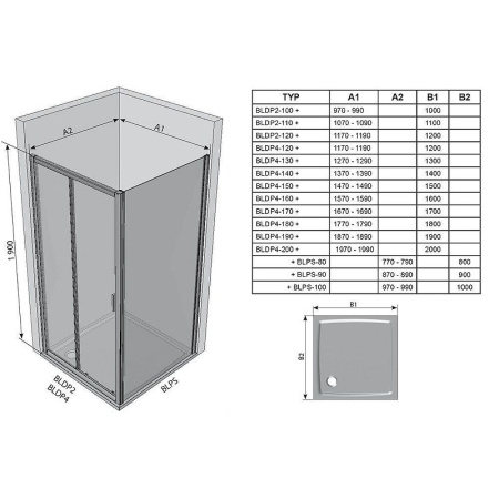 Душевая дверь Ravak Blix BLDP2-100 0PVA0C00ZG