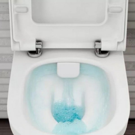 Унитаз напольный безободковый Vitra Zentrum Rim-Ex 9824B003-7207 микролифт