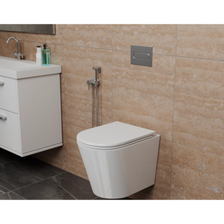 Унитаз подвесной безободковый D&K Venice (DT1026016)