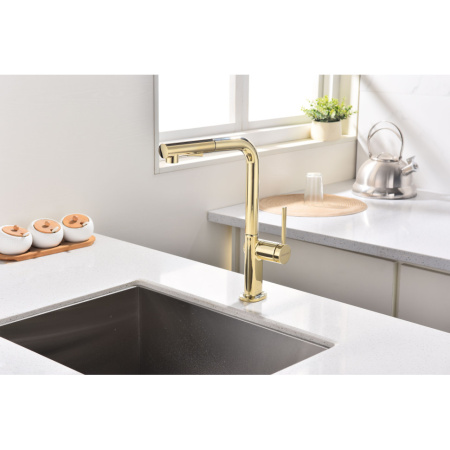 Смеситель для кухни Paulmark Neo Ne214419-G