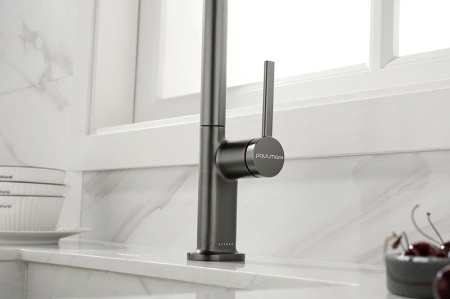 Смеситель для кухни Paulmark Neo Ne214419-B