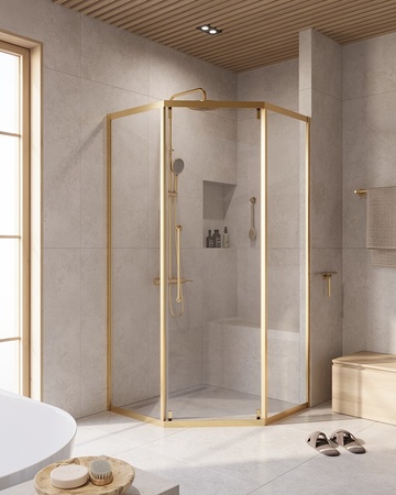Душевой уголок (100х100) CEZARES RELAX 304 RELAX-304-P-1-100-C-BORO