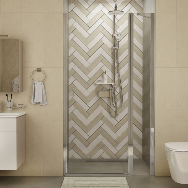 Душевая дверь распашная IDDIS Ray RAY6CP0i69, глянцевый алюминий