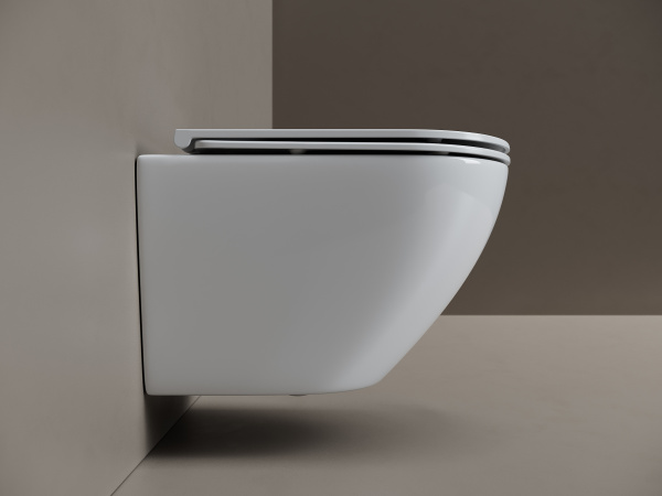 Унитаз подвесной Ceramicanova Whirl торнадо 3.0 CN11007T сиденье микролифт 