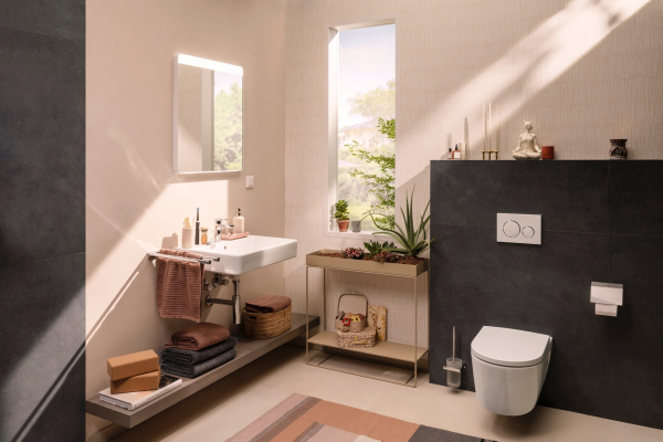 Держатель для полотенец двойной Hansgrohe AddStoris 41770000 хром
