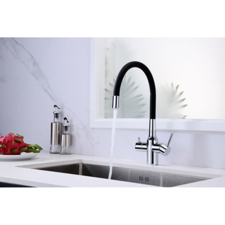 Смеситель для кухни с подключением к фильтру  Paulmark Salix Sa213419-CR