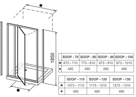 Душевая дверь Ravak Supernova SDOP-100 03VA0100Z1