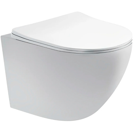 Подвесной безободковый унитаз Aquatek Европа AQ1900T-00 микролифт