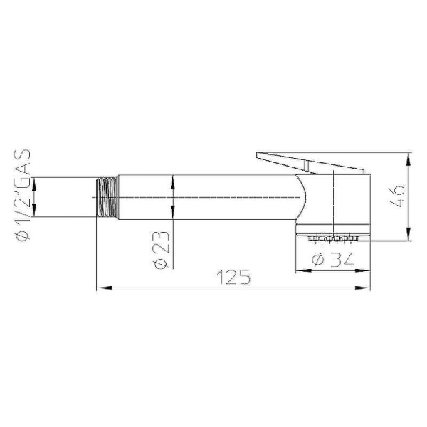 Гигиеническая лейка Bossini Paloma Gom B00457.030 хром