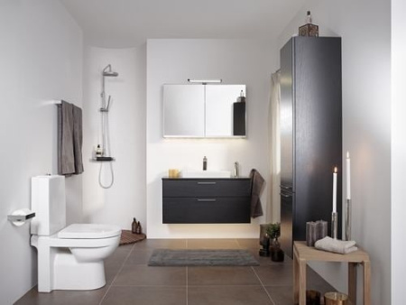 Унитаз Gustavsberg ARTic (4310) GB114310301231