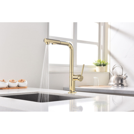 Смеситель для кухни Paulmark Neo Ne214419-G