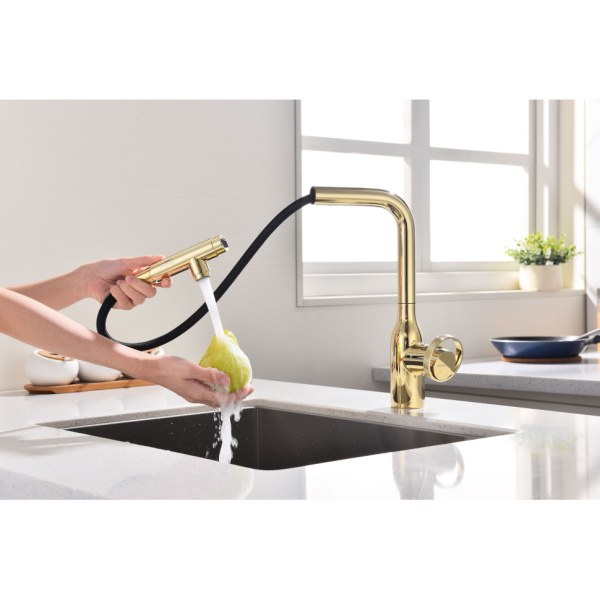 Смеситель для кухни с подключением к фильтру  Paulmark Urban Ur213104-G