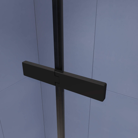 Душевой уголок (100х90) RGW Stilvoll SV-040B 353204009-14 прозрачное