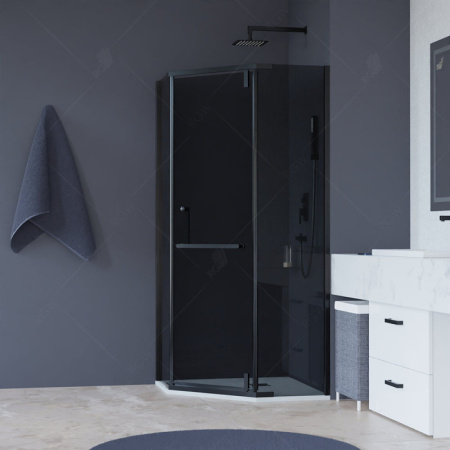 Душевой уголок (100х100) RGW HO-081-B 350608100-34 тонированное