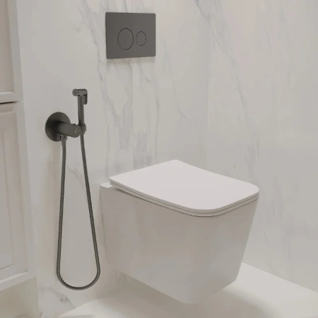 Кнопка смыва Oliveeka OL-R22-BGM, PVD оружейный металл матовый