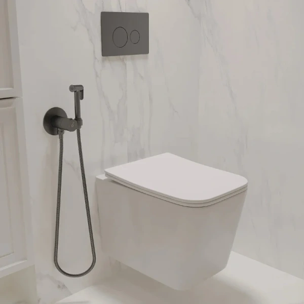 Кнопка смыва Oliveeka OL-R22-BGM, PVD оружейный металл матовый