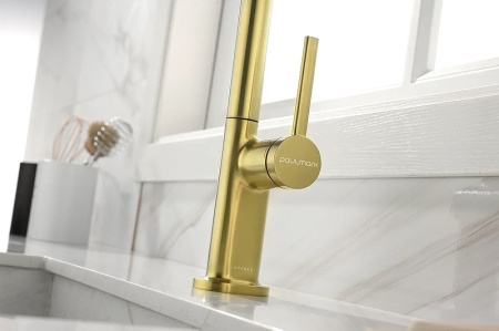 Смеситель для кухни Paulmark Neo Ne214419-SBG