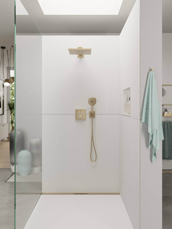 Ручной душ Hansgrohe Raindance Select E 120 Air 3jet 26520140 шлифованная бронза 
