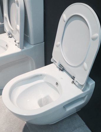 Унитаз подвесной безободковый с функцией биде Bien Harmony HRKA052N2VP1W5000