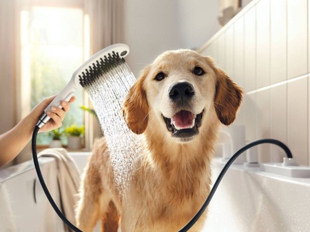 Ручной душ для мытья собак Hansgrohe DogShower 26640700 белый матовый