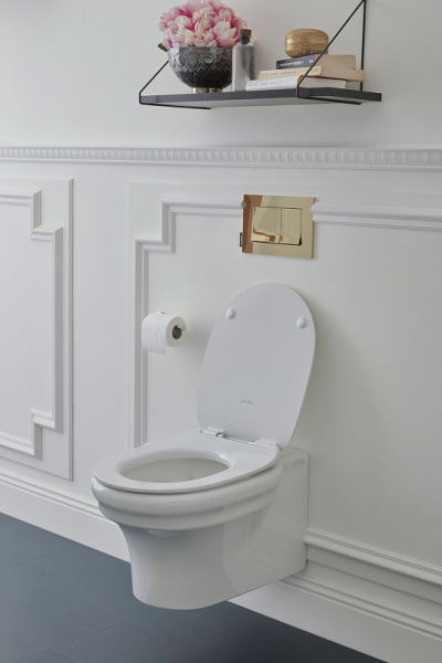 Подвесной безободковый унитаз Jacob Delafon Cleo EDZ102-0 (без сиденья)