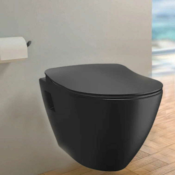 Унитаз подвесной с функцией биде Creavit TERRA TP325-00SM00E-0000