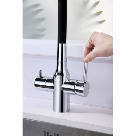 Смеситель для кухни с подключением к фильтру  Paulmark Salix Sa213419-CR