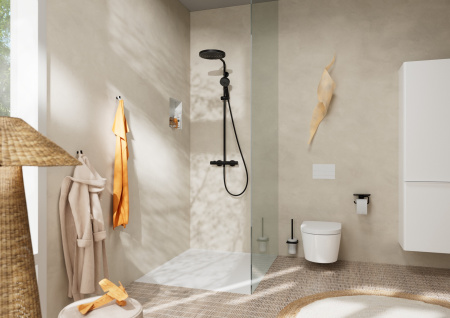 Ершик для унитаза Hansgrohe AddStoris 41752670 черный матовый