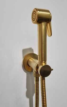 Гигиенический набор с прогрессивным смесителем Bossini Paloma Brass E37005B.043 брашированное золото