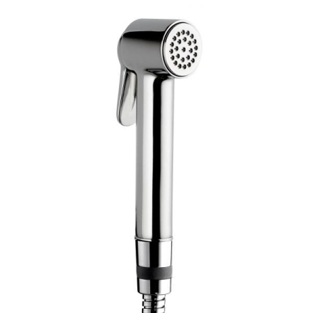 Гигиеническая лейка Bossini Paloma Brass B00470.030 хром