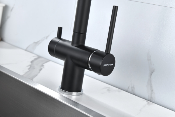 Смеситель для кухни с подключением к фильтру  Paulmark Serpentine Se213222-401