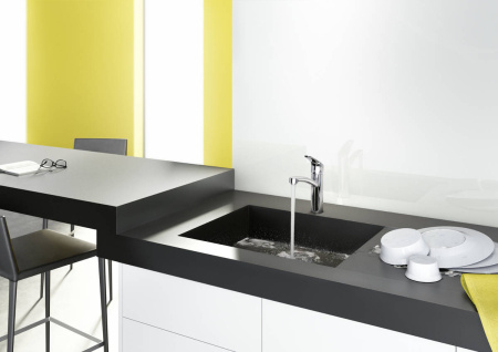 Смеситель для кухни Hansgrohe Focus 31804000
