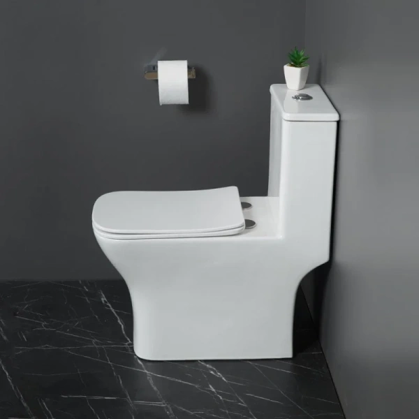 Унитаз-компакт BelBagno Neon BB8617CPR-MN/SC безободковый, с сиденьем микролифт, белый