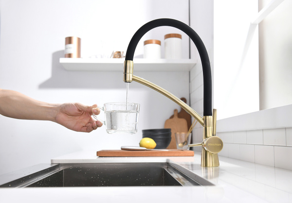 Смеситель для кухни с подключением к фильтру  Paulmark Siеgen Si213111-BR