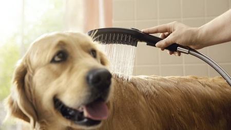 Ручной душ для мытья собак Hansgrohe DogShower 26640670 черный матовый