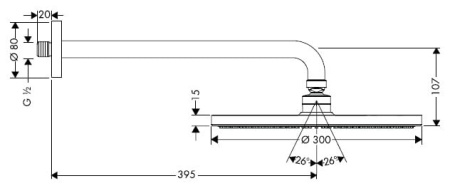 Верхний душ Hansgrohe Raindance 27493000