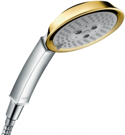 Душевая лейка Hansgrohe Raindance Classic 28548090