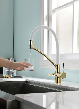 Смеситель для кухни с подключением к фильтру  Paulmark Siеgen Si213111-GW