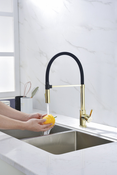 Смеситель для кухни Paulmark Halt Ha214021-G