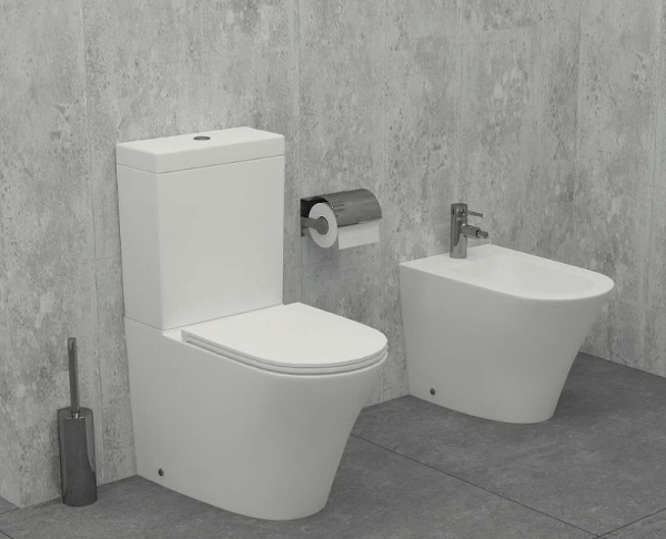 Чаша унитаза Jacob Delafon Rodin+ UJAB102-00