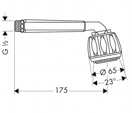 Лейка для душа Hansgrohe Selecta Classic 28326000